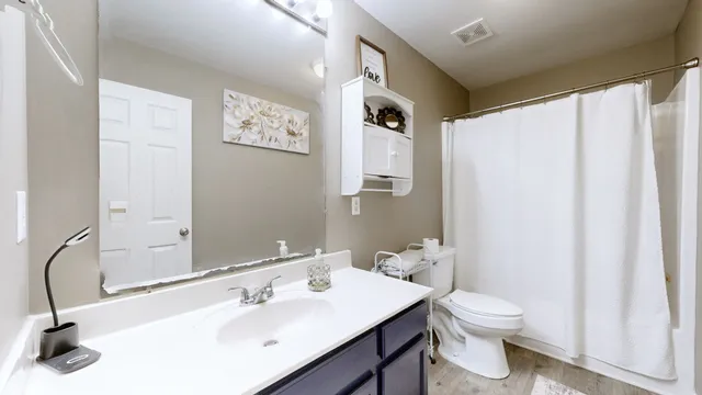 a bathroom with a sink a toilet and shower curtain