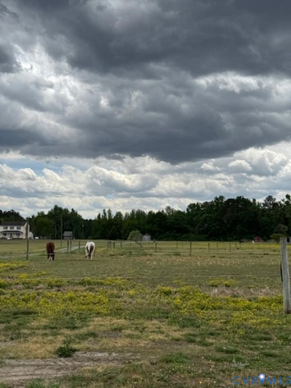 19886 River Road Courtland, VA 23837 - Photo 17 of 19 Pasture