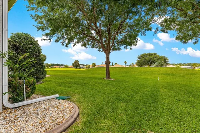 a view of house with a yard