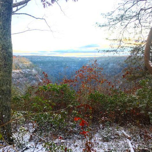 2274 Little Bend Road Signal Mountain, TN 37377 - Photo 3 of 11 129052274_3926063414073017_3170088281025