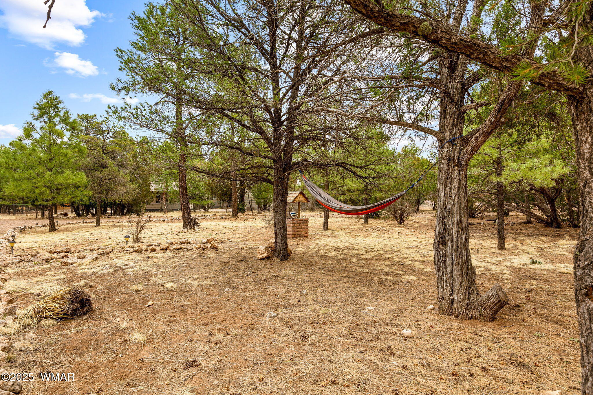 2088 Round-Up Road Overgaard, AZ 85933 - Photo 23 of 35 a view of street with trees