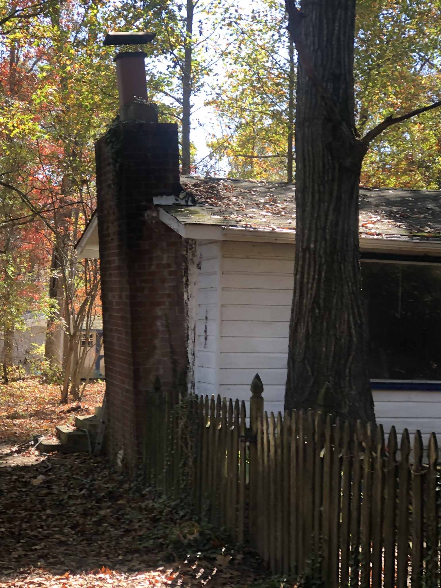 125 Redneck Road Ashland City, TN 37015 - Photo 2 of 8 Gallery Image 2