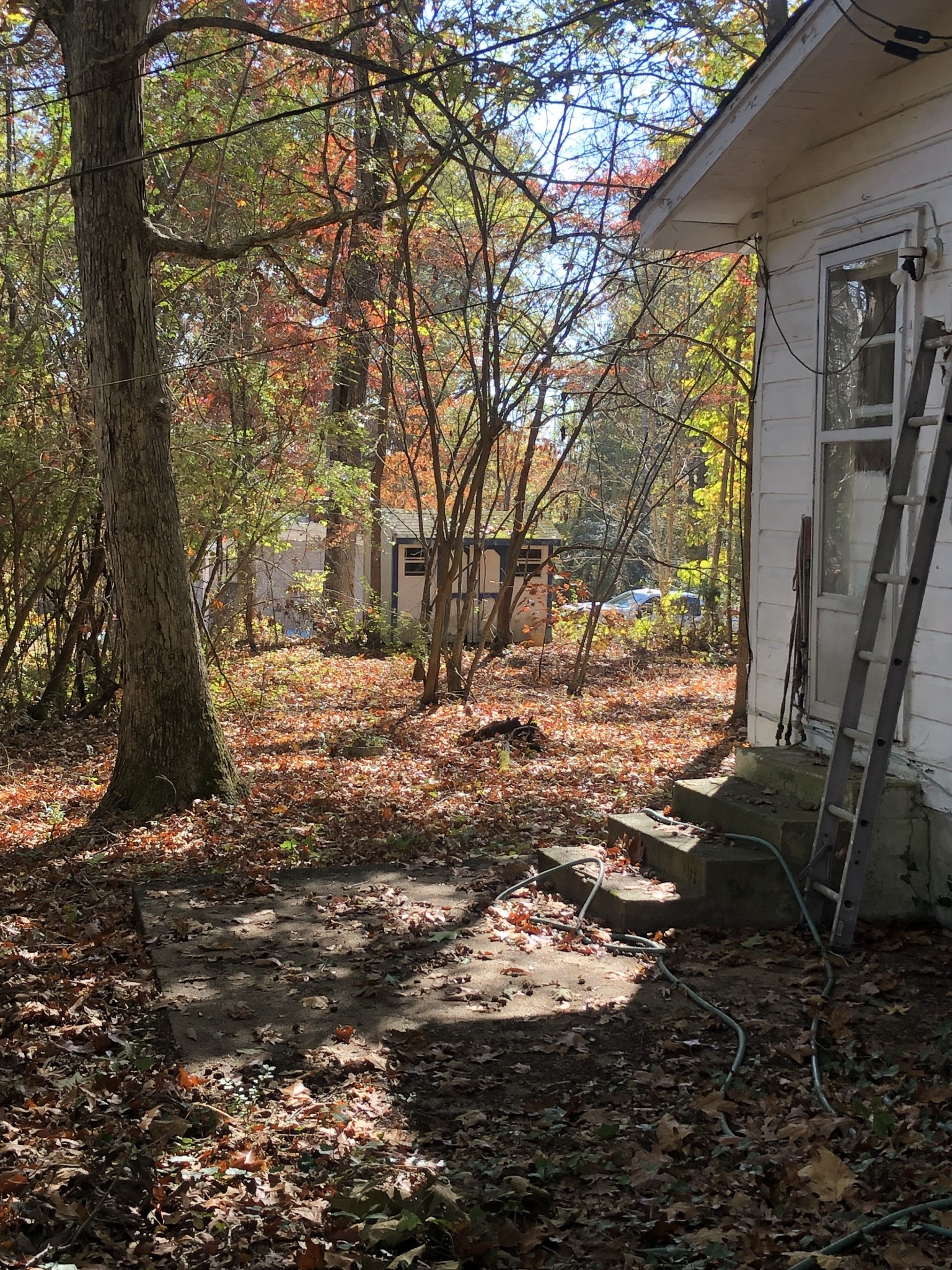 125 Redneck Road Ashland City, TN 37015 - Photo 8 of 8 Gallery Image 8