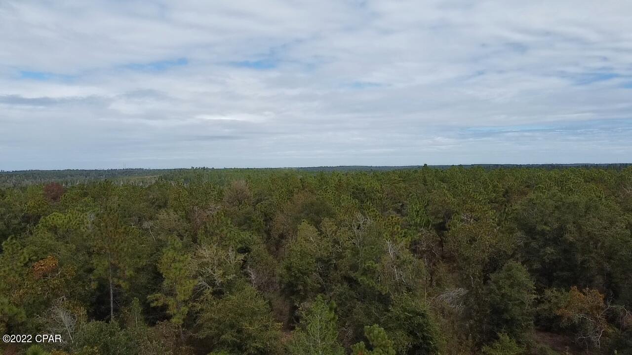 Xxx Richard Hardy Road West Bristol, FL 32321 - Photo 9 of 23
