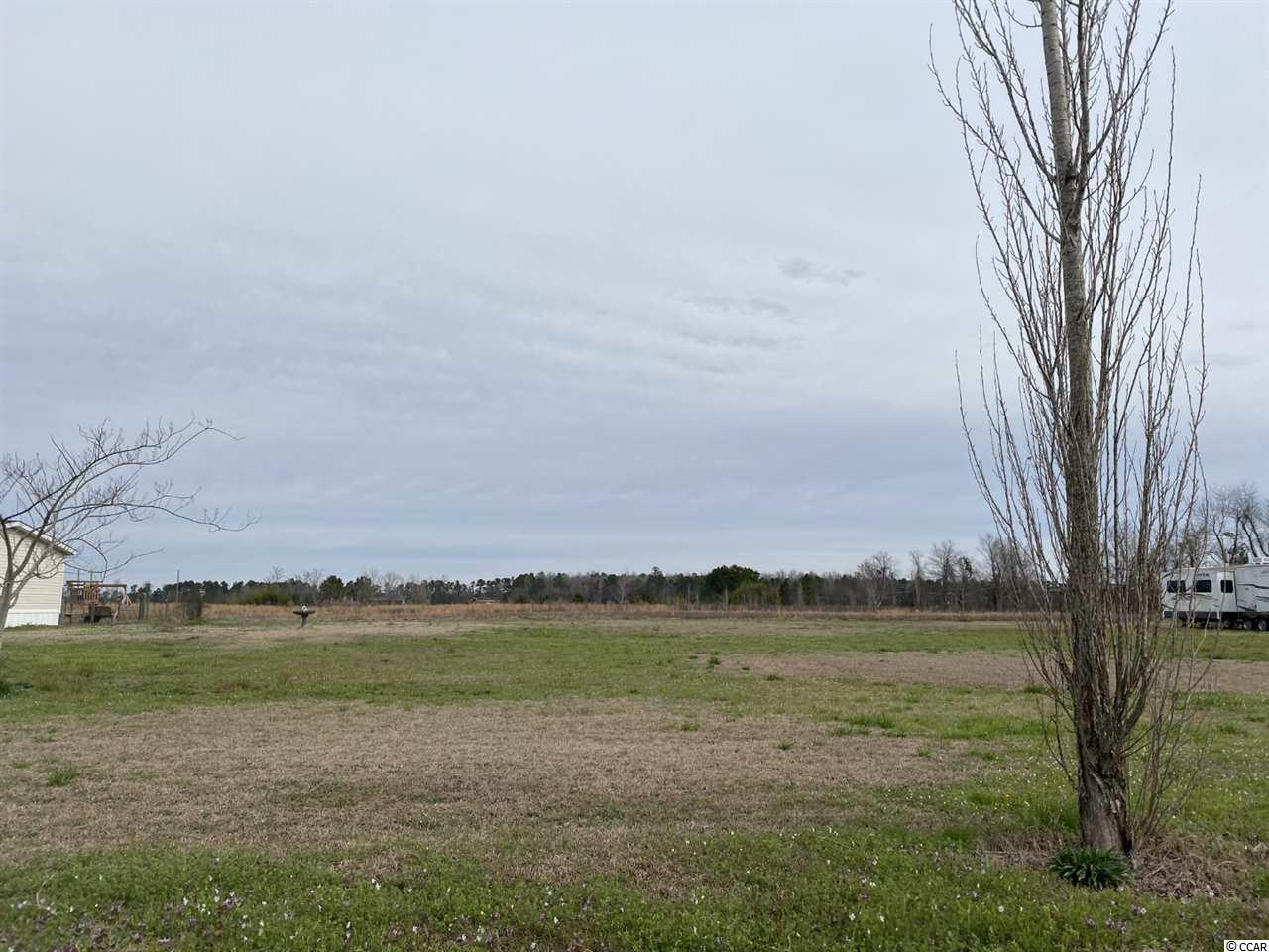 2902 Malcolm Road Marion, SC 29571 - Photo 3 of 3 Gallery Image 3