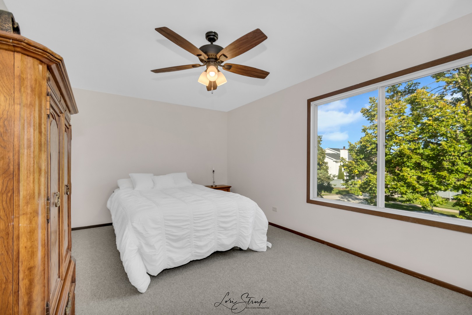 48 Churn Road Matteson, IL 60443 - Photo 12 of 16
