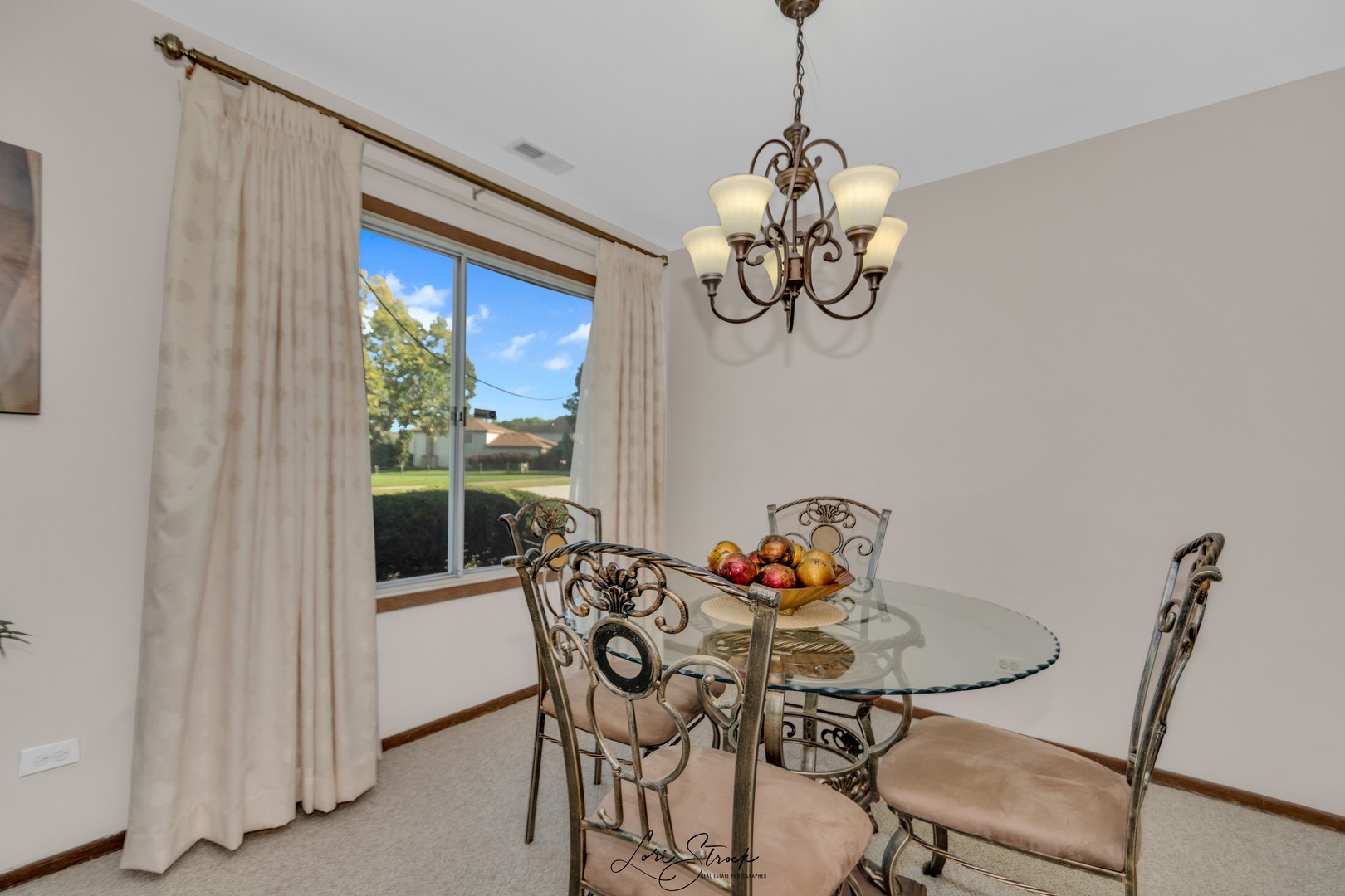 48 Churn Road Matteson, IL 60443 - Photo 6 of 16
