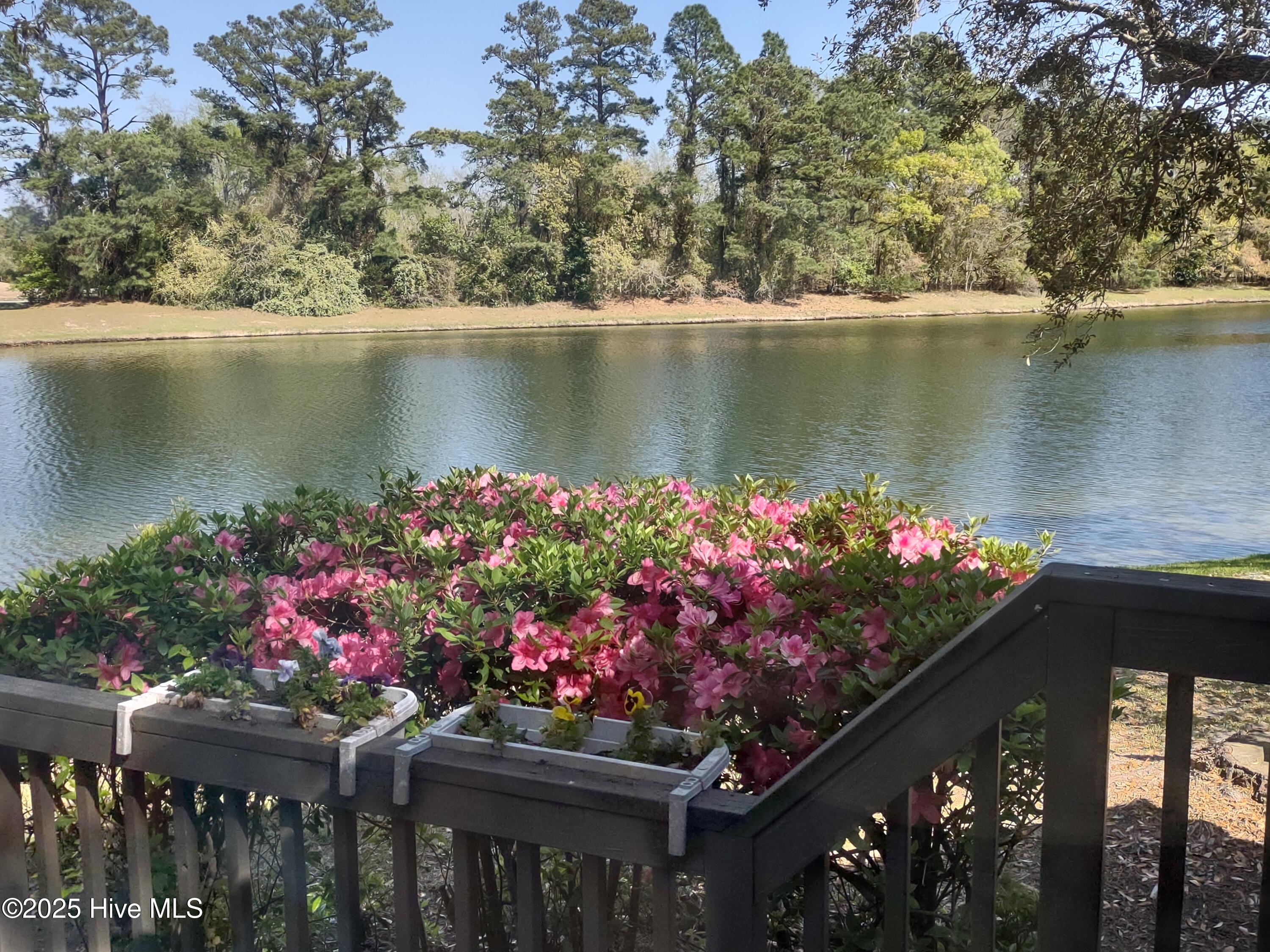 7402 Windward Drive New Bern, NC 28560 - Photo 7 of 46 Springtime blooms