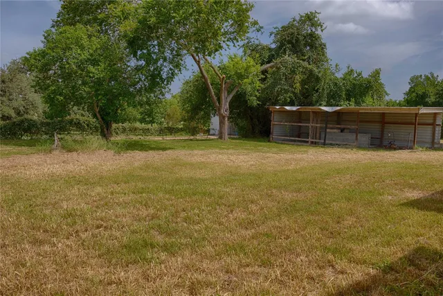 a backyard of a house with plants and large trees