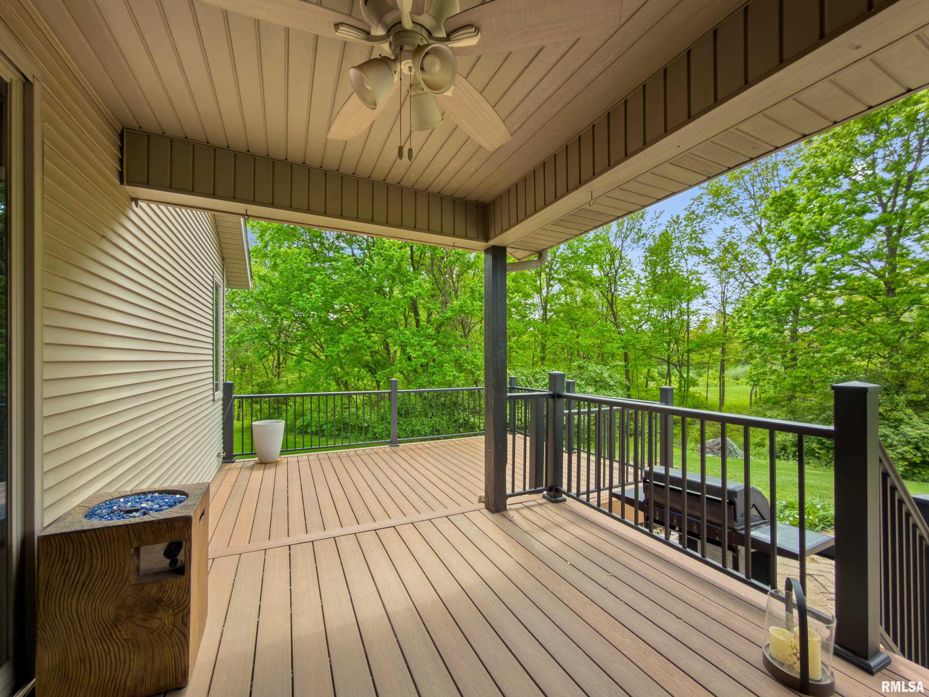 377 Ten Mile Creek Road East Peoria, IL 61611 - Photo 51 of 56