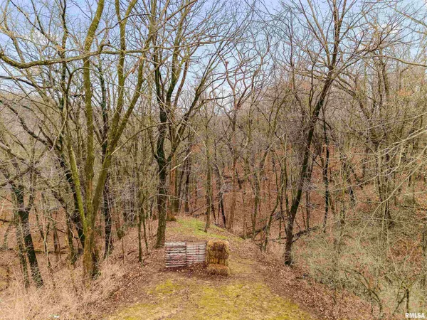 $560,000 | 377 Ten Mile Creek Road, East Peoria, IL 61611