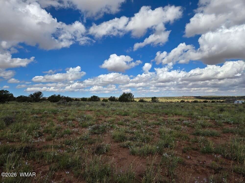 3861 Coronado Road Snowflake, AZ 85937 - Photo 8 of 29 Gallery Image 8