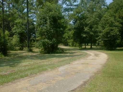 80464 North Willie Road Folsom, LA 70437 - Photo 7 of 8 Gallery Image 7