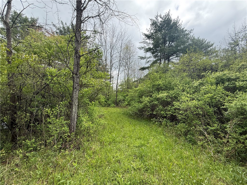 Caswell Road Freeville, NY 13068 - Photo 5 of 47