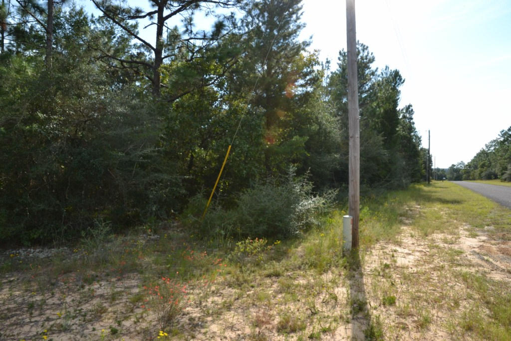 5.27-ac Yellow Bluff Road Crestview, FL 32539 - Photo 4 of 16 a view of a yard