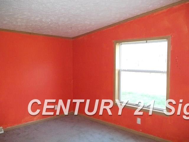 14787 South Merrill Road Elsie, MI 48831 - Photo 17 of 20