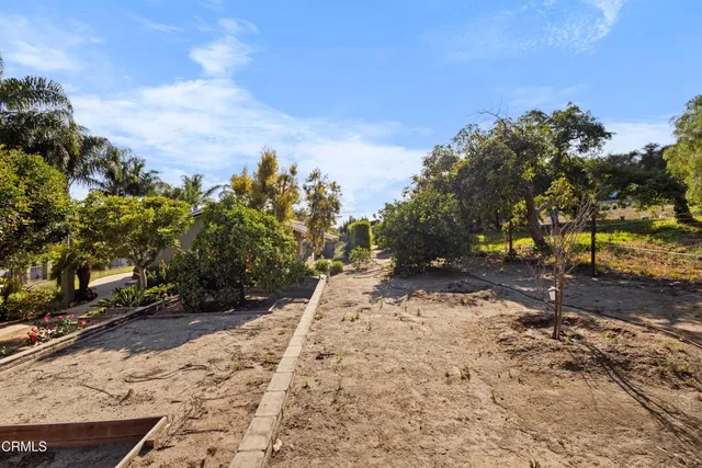 front view of a house with a yard and potted plants