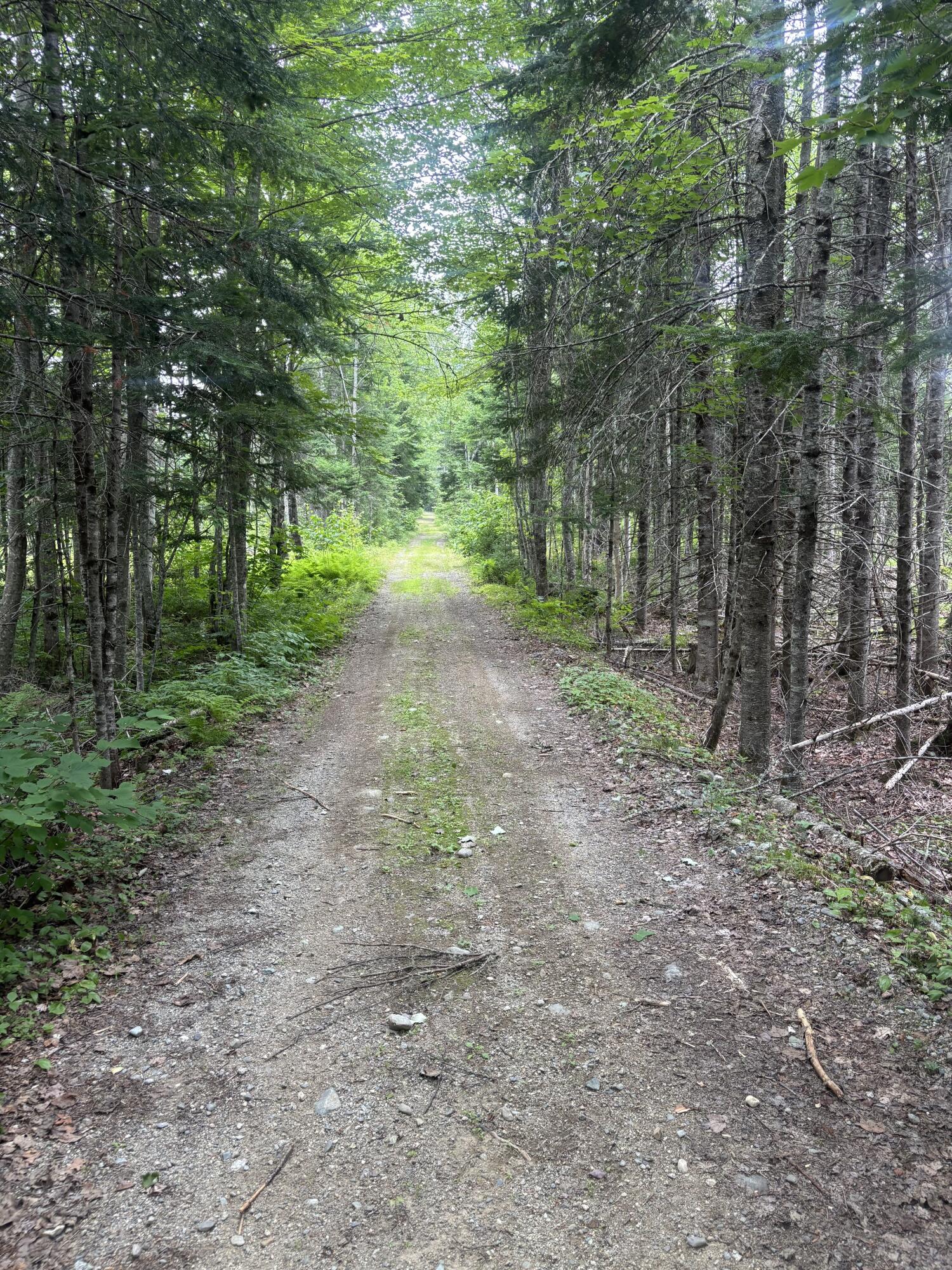 64 Ip Road Stratton, ME 04982 - Photo 26 of 56