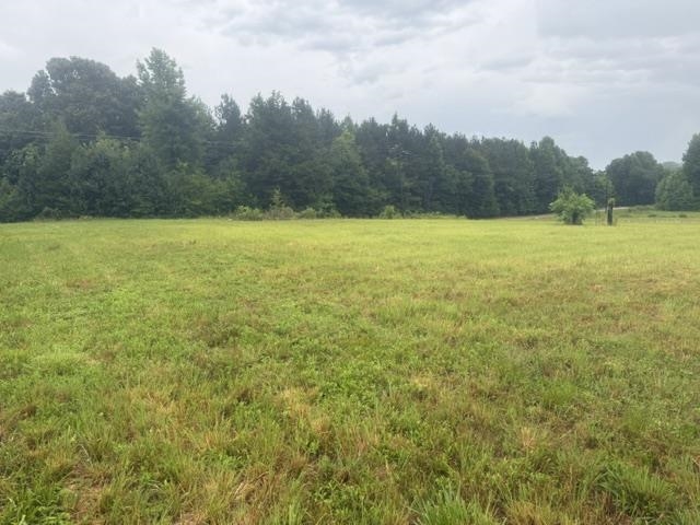 1100 Pine Top Road Toone, TN 38381 - Photo 37 of 40 Expansive open field with natural vegetation, bordered by a dense tree line