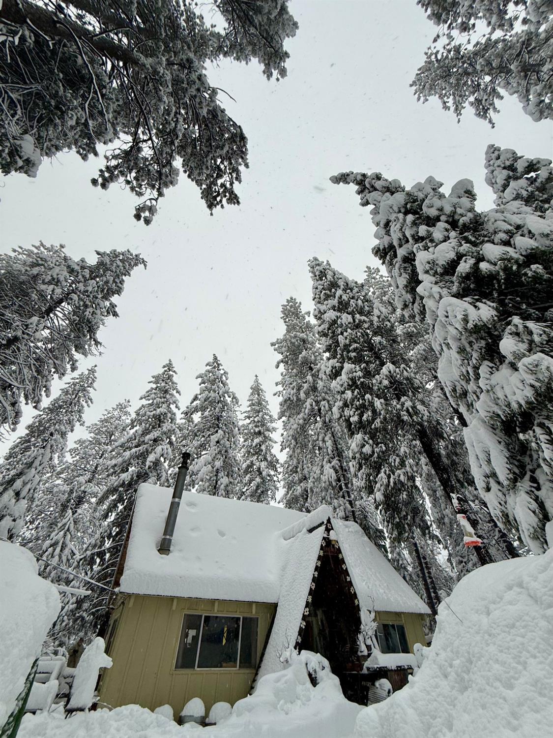 2238 Meadowview Road Arnold, CA 95223 - Photo 46 of 46 February Snow Storm 2026