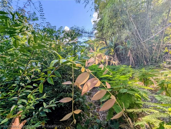 a backyard of a house with lots of green space