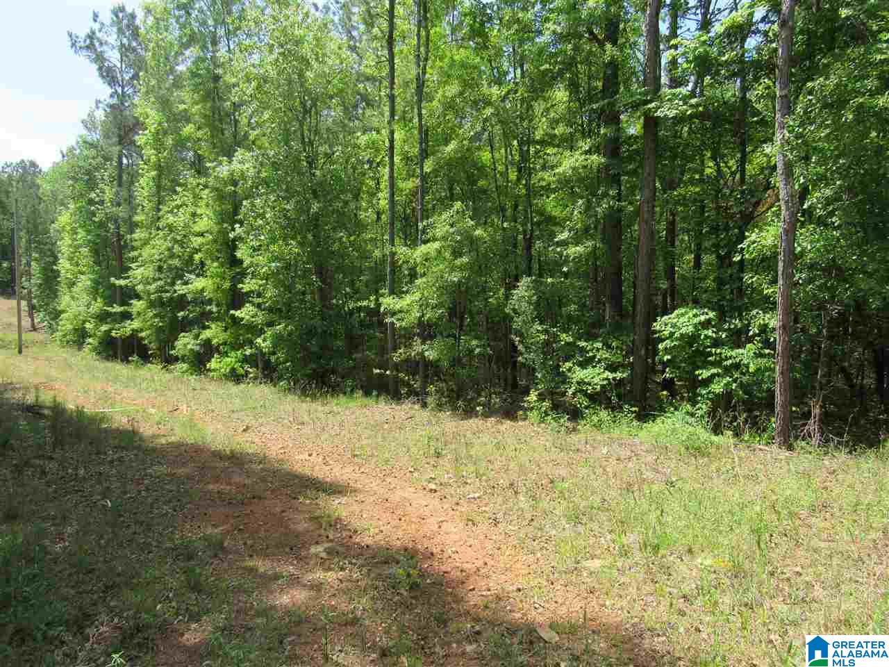 0 County Road 895, Unit 17 ACRES Lineville, AL 36266 - Photo 26 of 30
