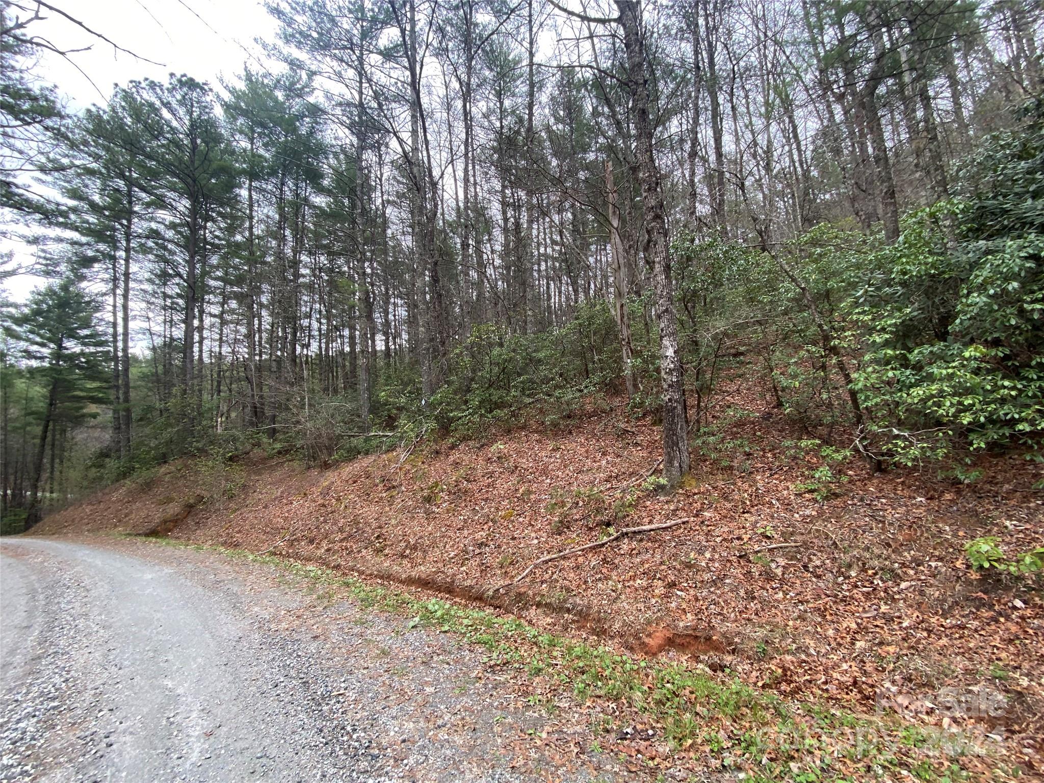 Lot 11 Fox Ridge Trail Marion, NC 28752 - Photo 11 of 12 a view of a forest with trees in the background