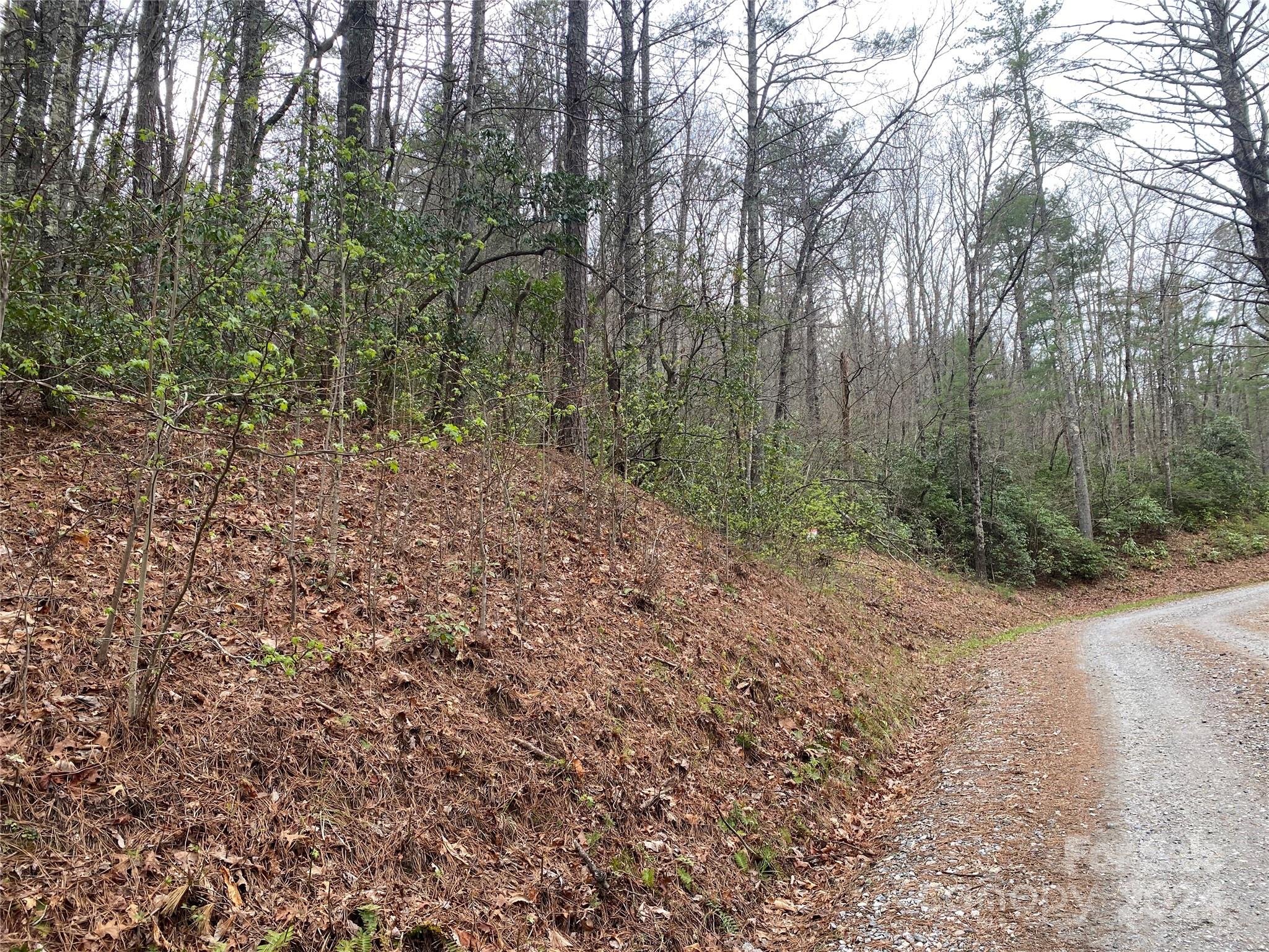Lot 11 Fox Ridge Trail Marion, NC 28752 - Photo 5 of 12 a view of a forest with trees in the background