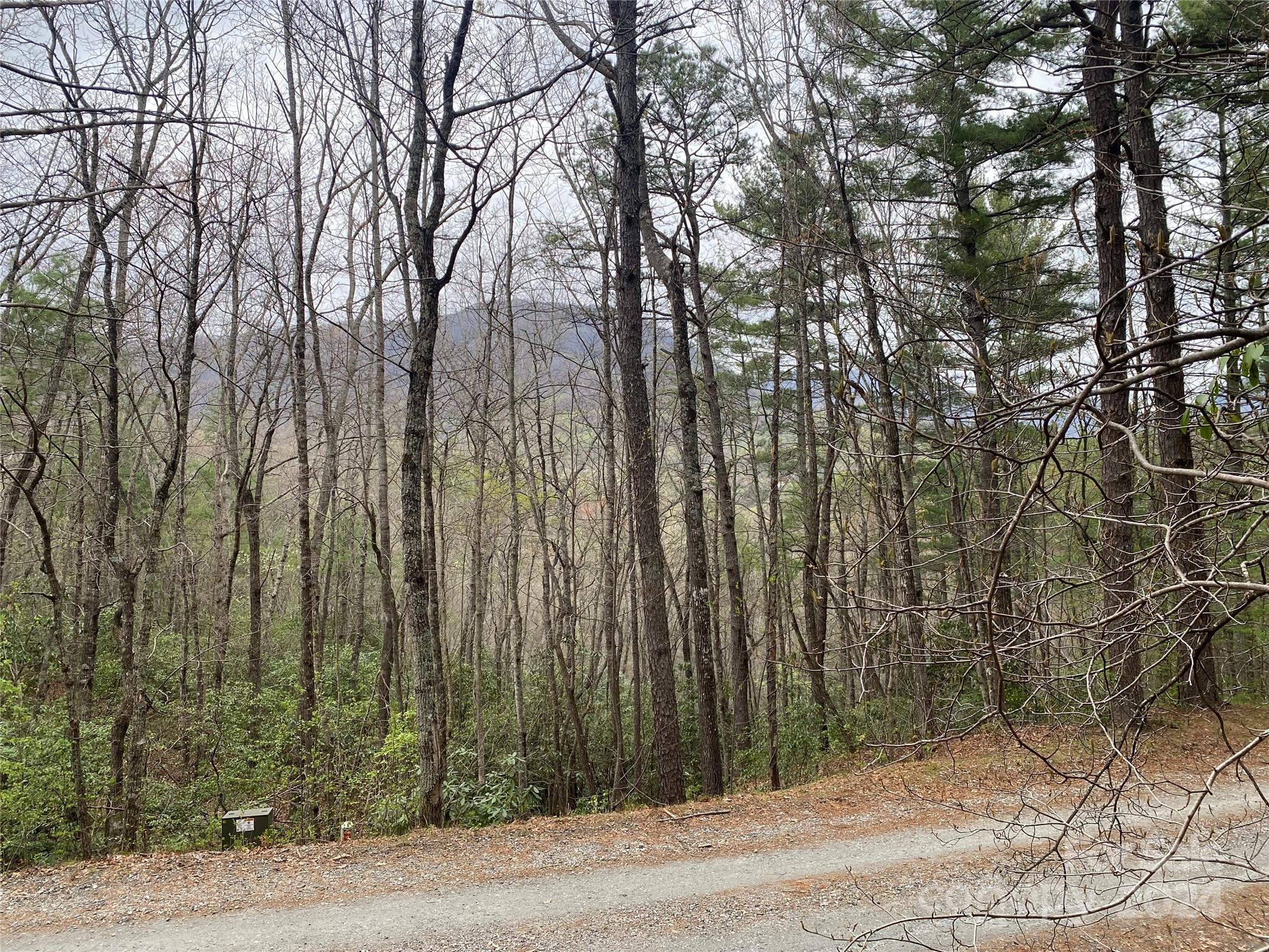 Lot 11 Fox Ridge Trail Marion, NC 28752 - Photo 6 of 12 a view of a forest