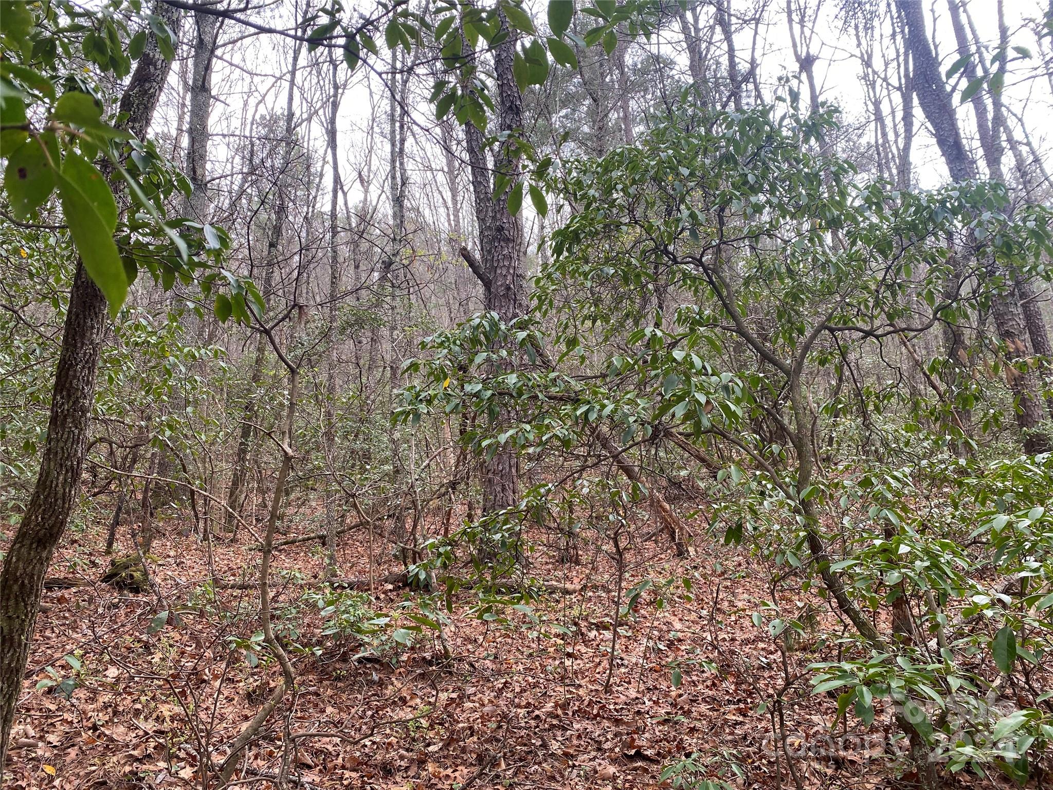 Lot 11 Fox Ridge Trail Marion, NC 28752 - Photo 8 of 12 a view of a yard