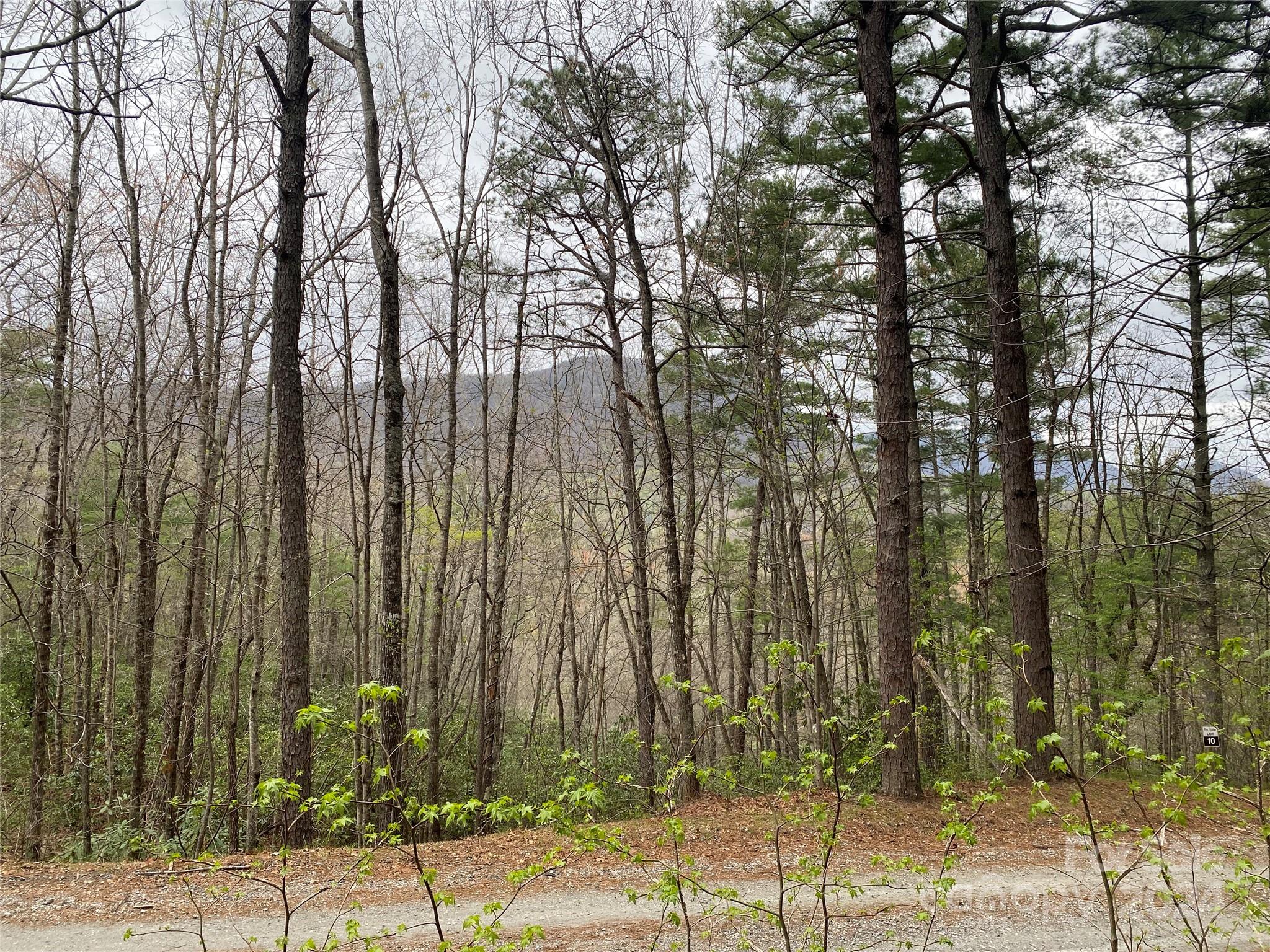 Lot 11 Fox Ridge Trail Marion, NC 28752 - Photo 10 of 12
