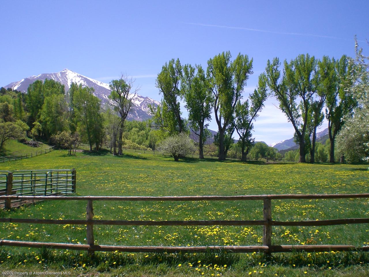 860 Thomas Road Carbondale, CO 81623 - Photo 5 of 15 Front pasture