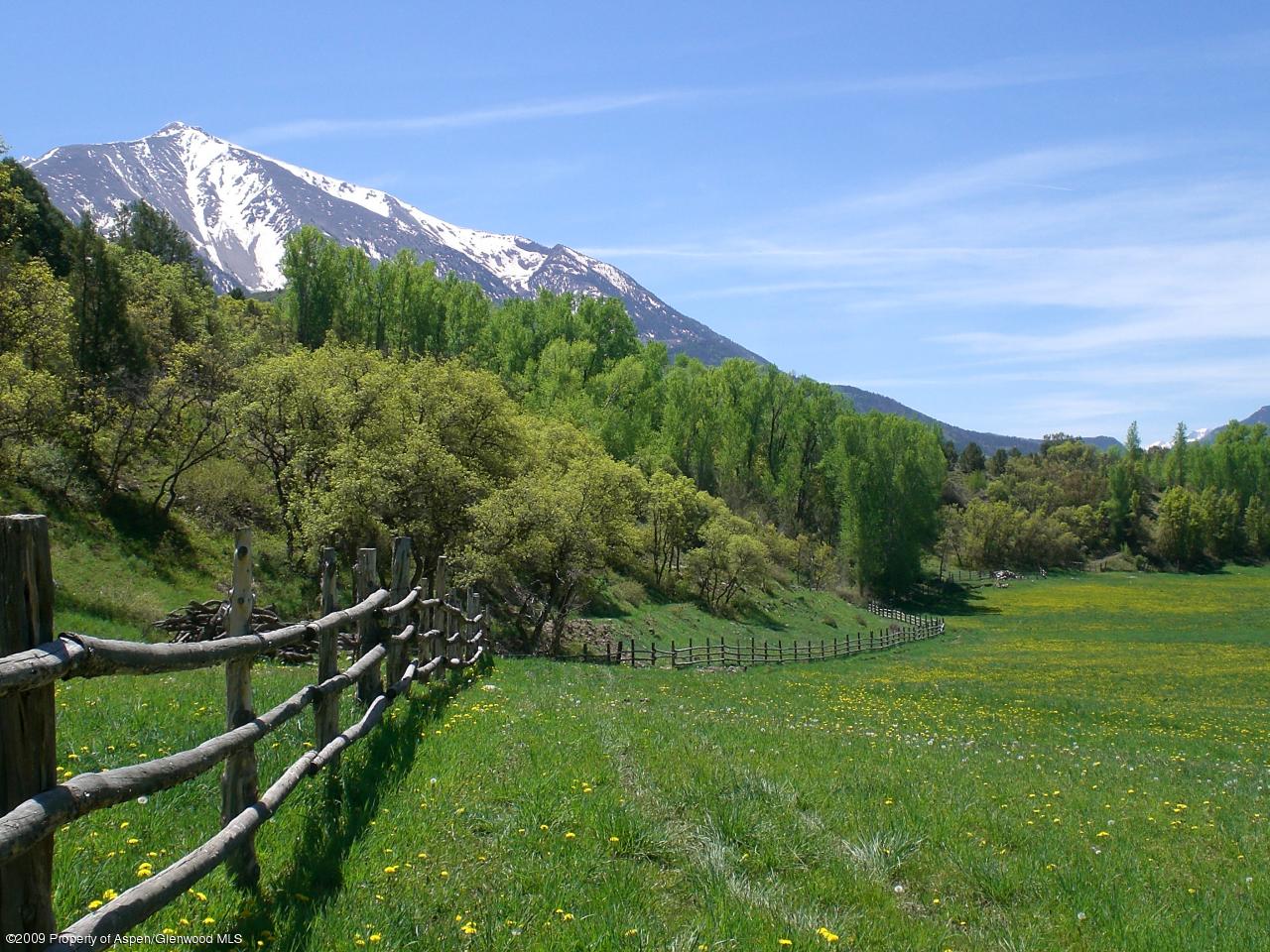 860 Thomas Road Carbondale, CO 81623 - Photo 6 of 15 Back pasture