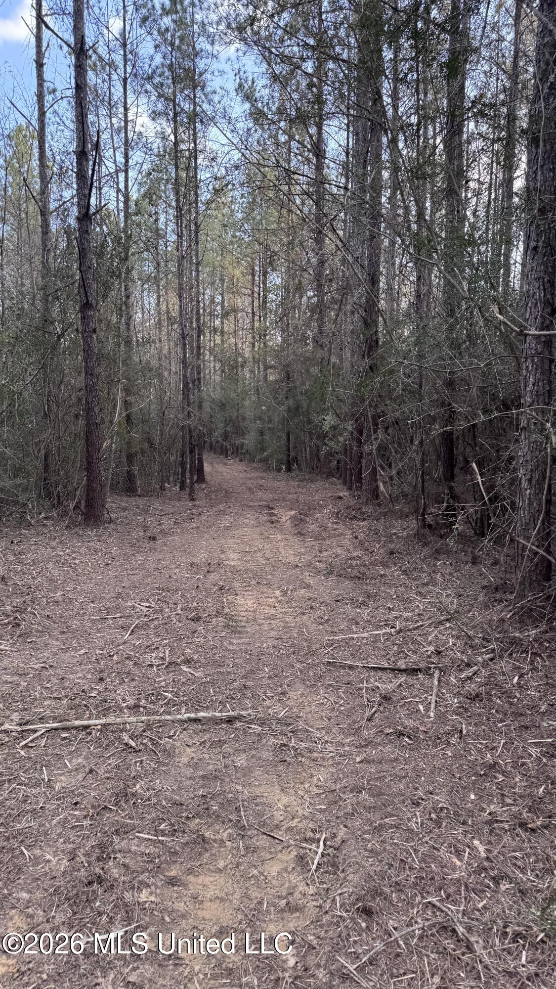 42 Mississippi State Line, MS 39362 - Photo 29 of 87 Photo Feb 13 2026, 4 42 15 PM