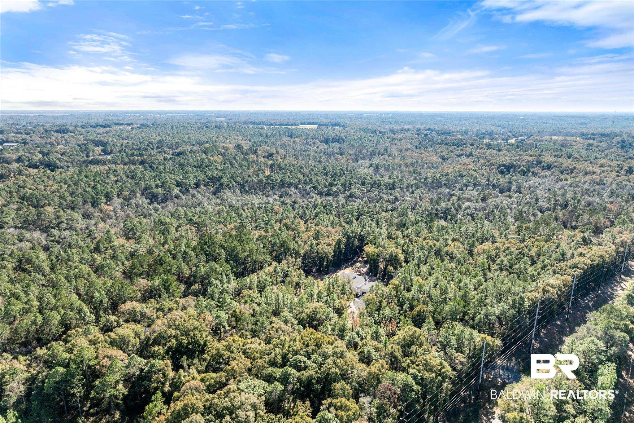 0 Oyler Lane Mobile, AL 36695 - Photo 9 of 12 Bird's eye view