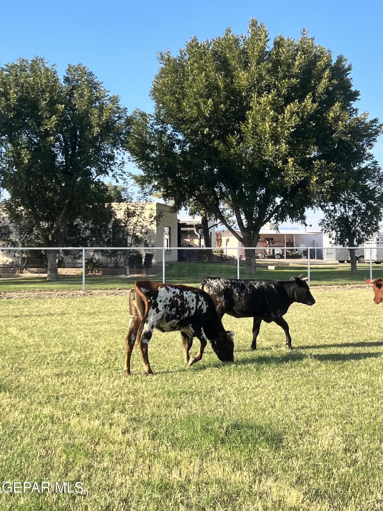 7770 WestSide Road Canutillo, TX 79835 - Photo 58 of 62 IMG_9047
