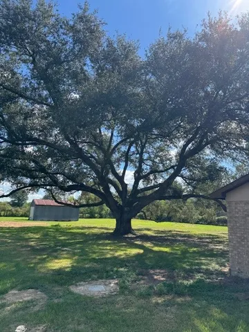 a view of swimming pool with garden