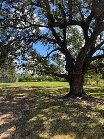 a view of a yard with an outdoor space