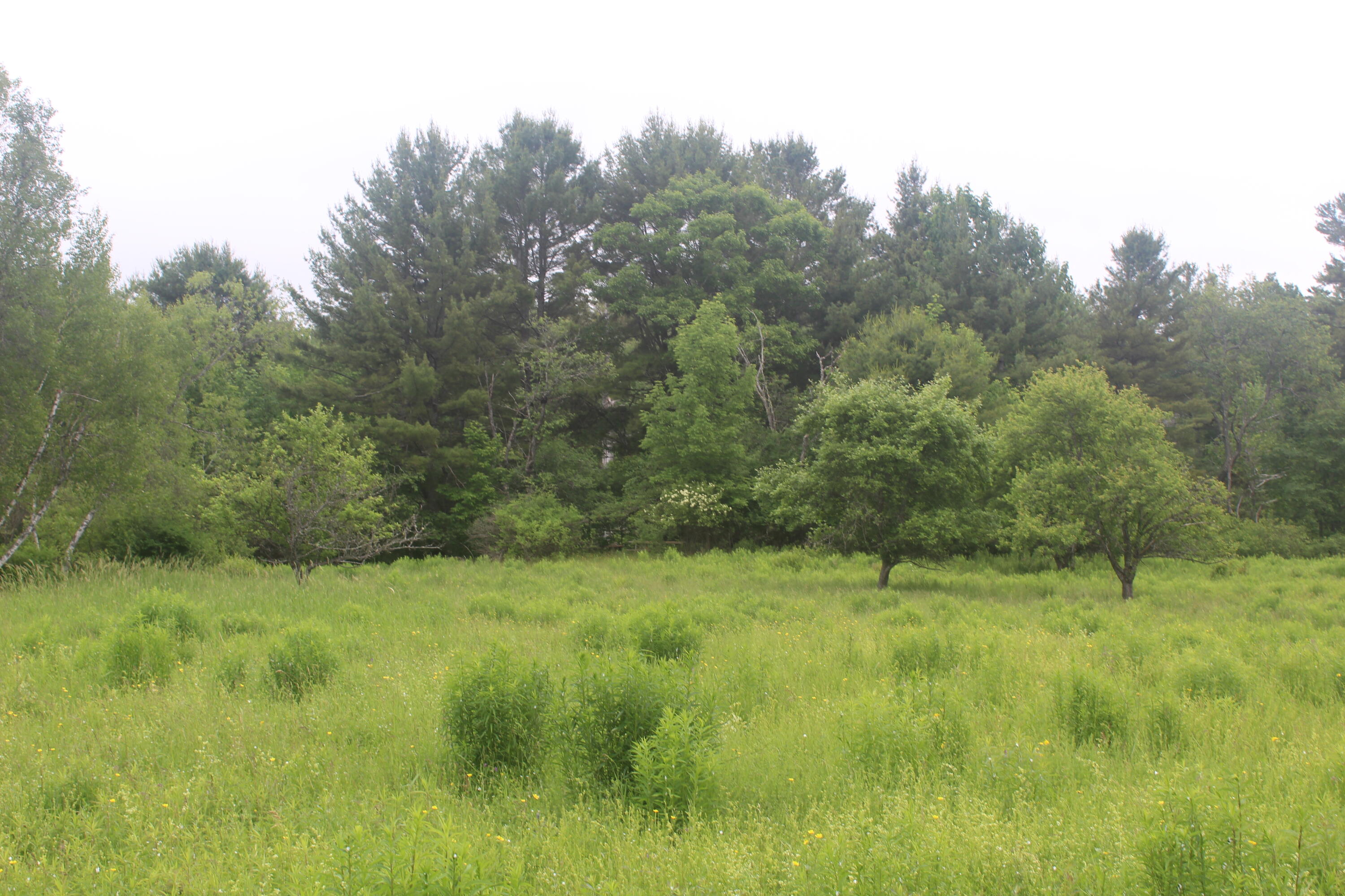 486 Johnson Mill Road Orrington, ME 04474 - Photo 4 of 20 IMG_1260