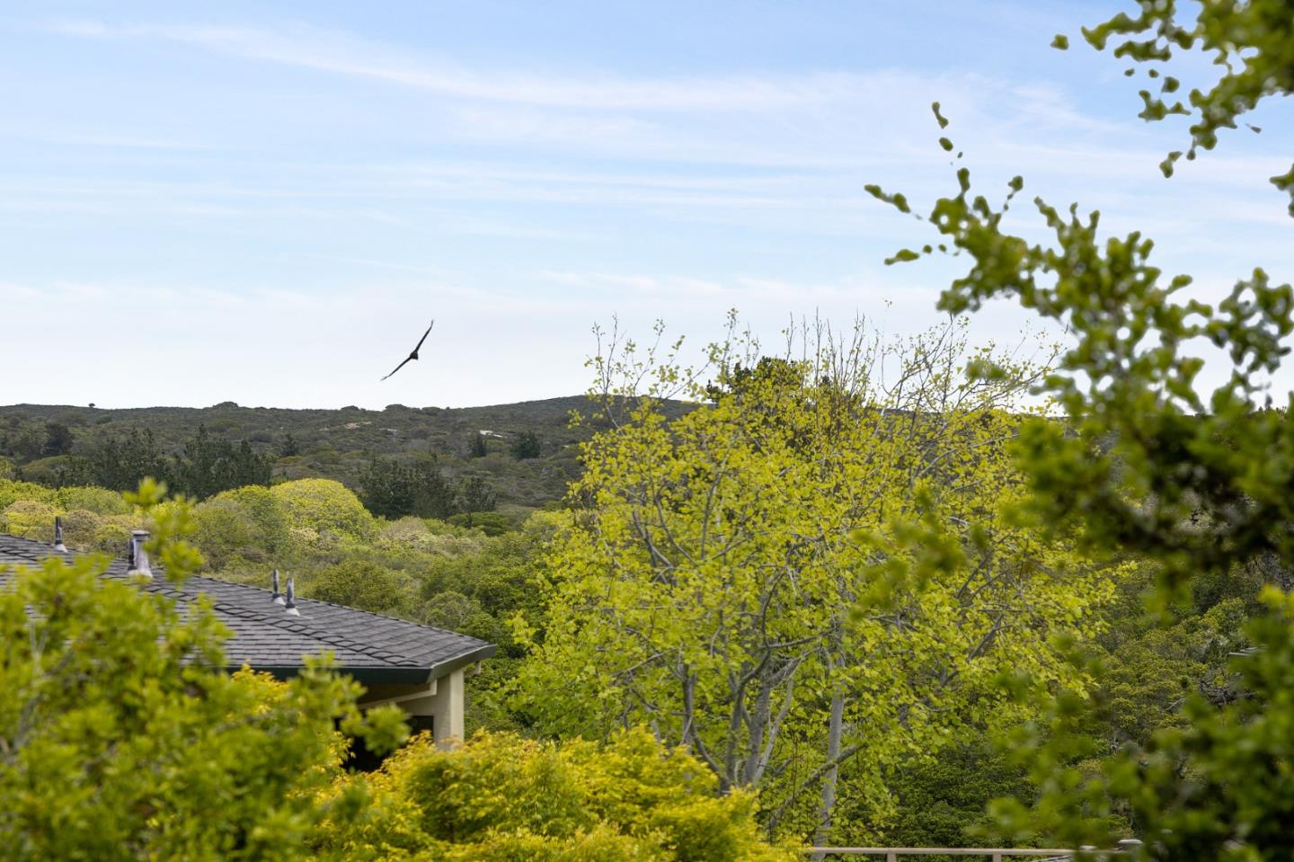 130 Pheasant Ridge Road Del Rey Oaks, CA 93940 - Photo 18 of 23 a view of a lake with a mountain
