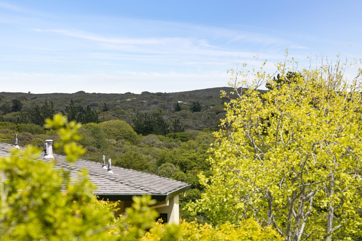 130 Pheasant Ridge Road Del Rey Oaks, CA 93940 - Photo 20 of 23 a view of a lake with a mountain in the background