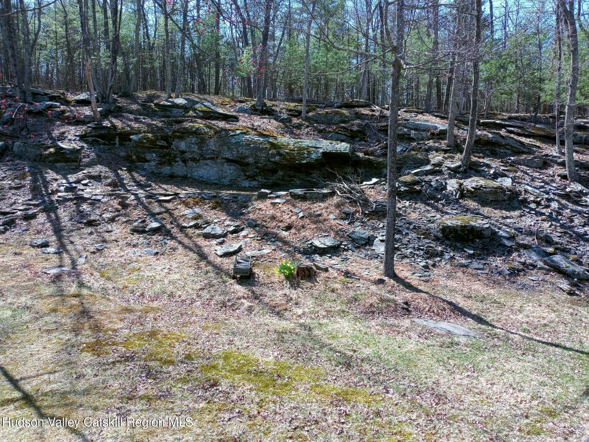 115 Jones Quarry Road Woodstock, NY 12498 - Photo 37 of 38 a view of outdoor space and yard