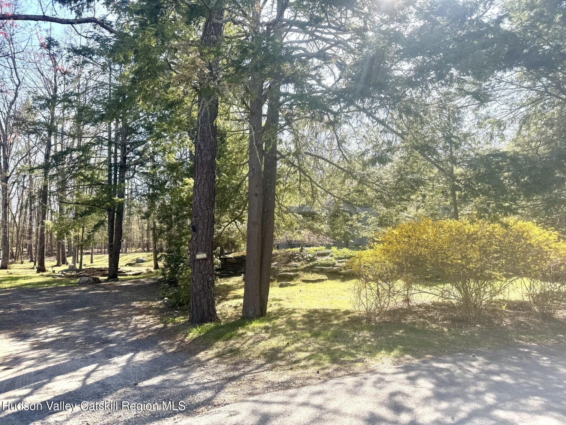 115 Jones Quarry Road Woodstock, NY 12498 - Photo 38 of 38 a view of a yard with trees