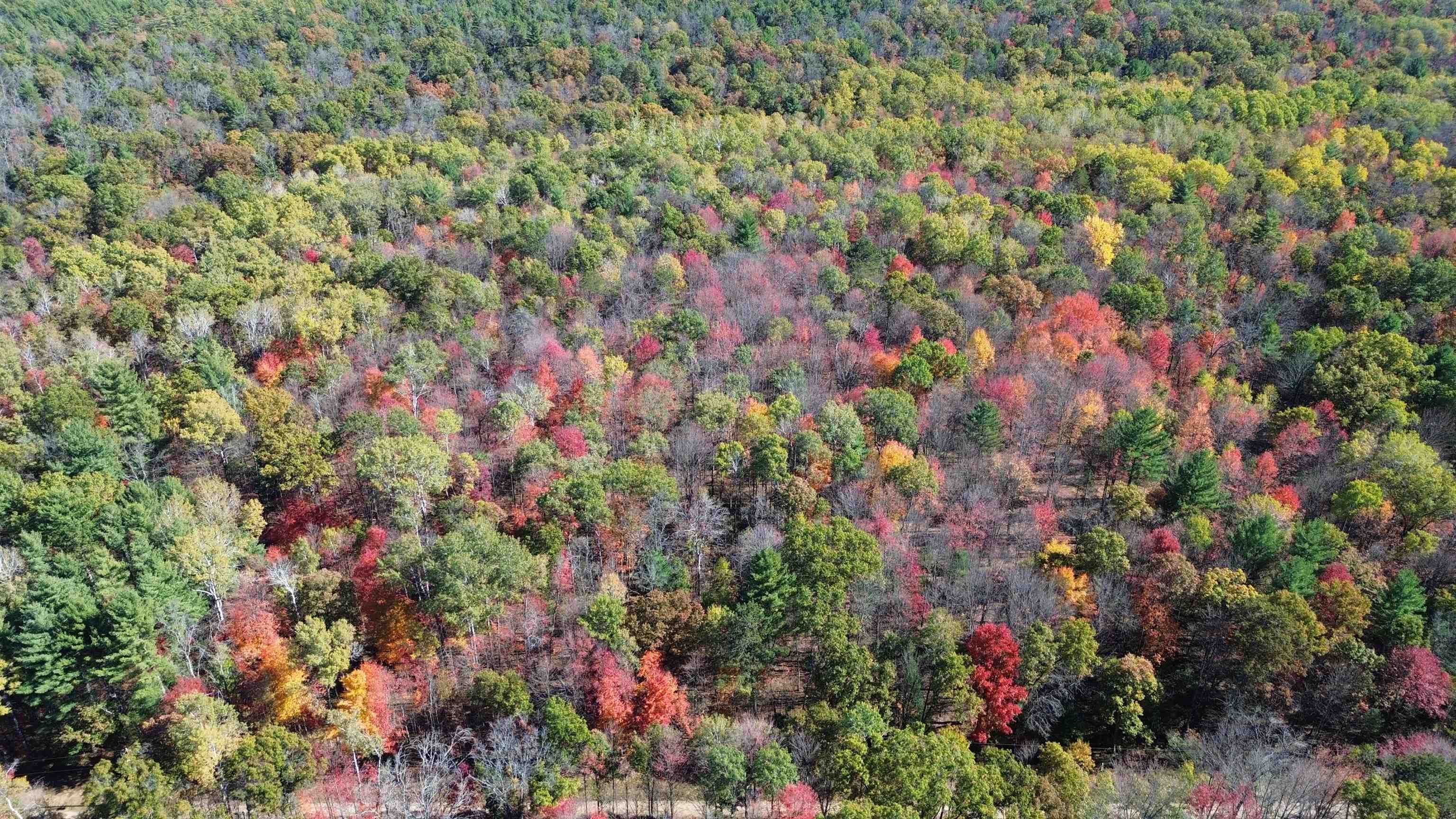 0 Timber Trail Prescott, MI 48756 - Photo 25 of 44