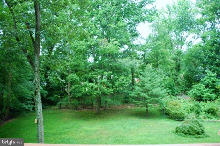 12706 Lacy Drive Silver Spring, MD 20904 - Photo 17 of 30 Yard