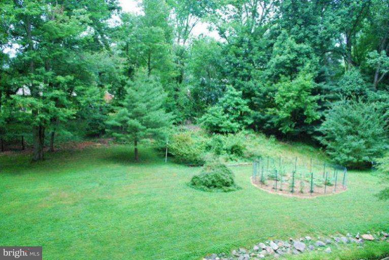 12706 Lacy Drive Silver Spring, MD 20904 - Photo 4 of 30 Yard