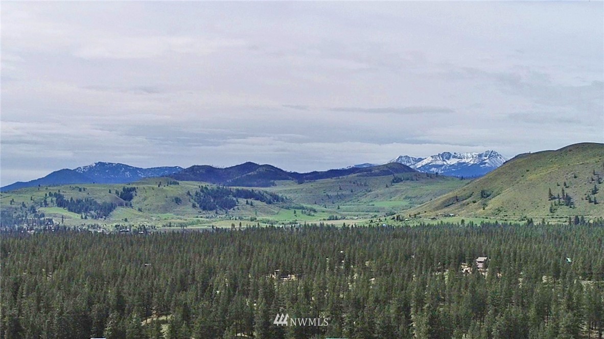 30 Palomino Road Winthrop, WA 98862 - Photo 22 of 25 Gallery Image 22