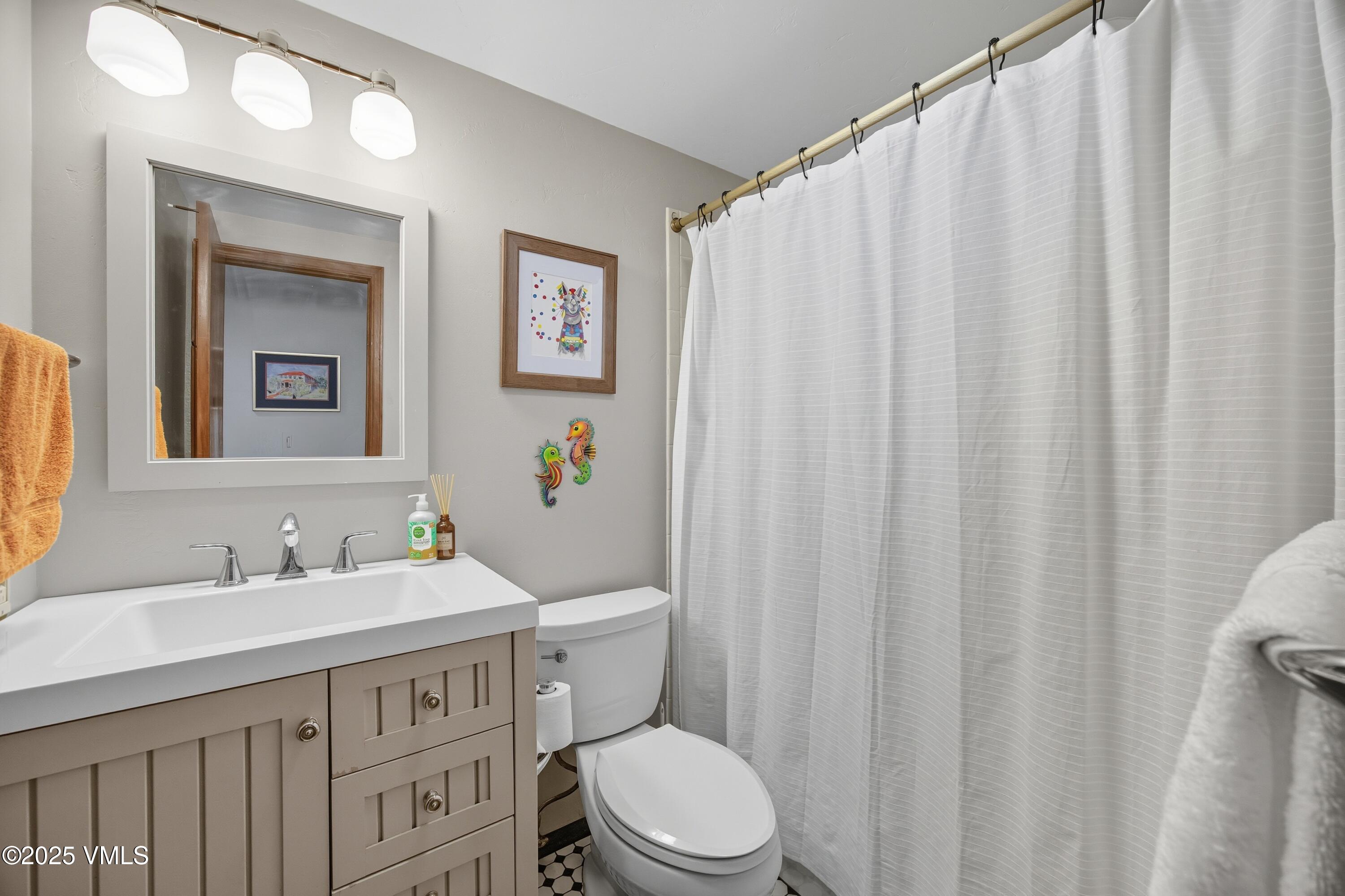 520 West Beaver Creek Boulevard, Unit A103 Avon, CO 81620 - Photo 11 of 21 a bathroom with a sink a toilet and shower curtain