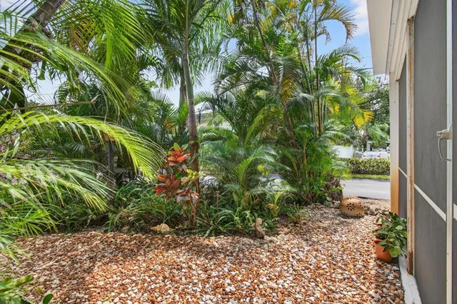 a view of a garden with plants