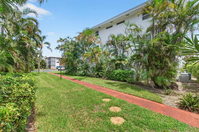 a view of a field with plants and large trees